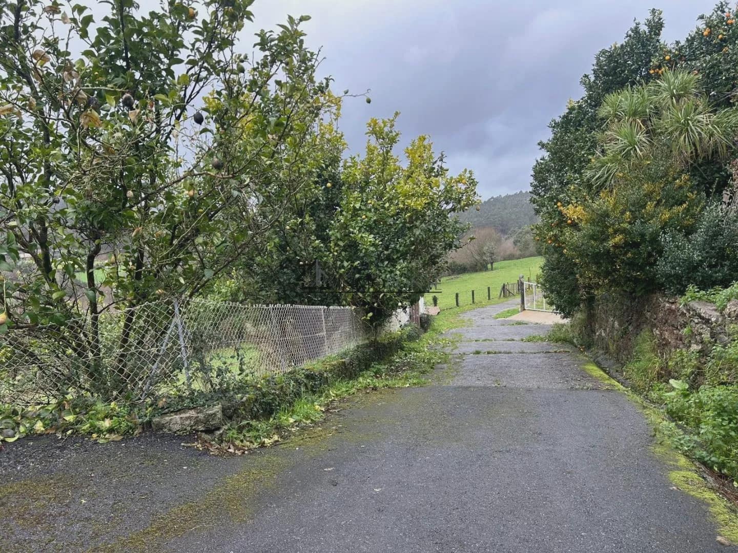 3 sypialnia Finka/Dom wiejski na sprzedaż w Campo Lameiro - 185 000 € (Ref: 9720523)