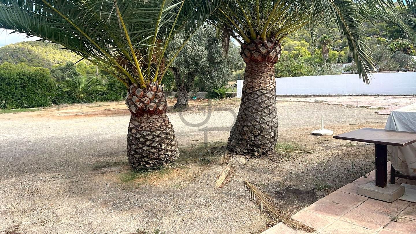 4 slaapkamer Villa te huur in San Jose / Sant Josep de Sa Talaia - € 12.000 (Ref: 9305169)