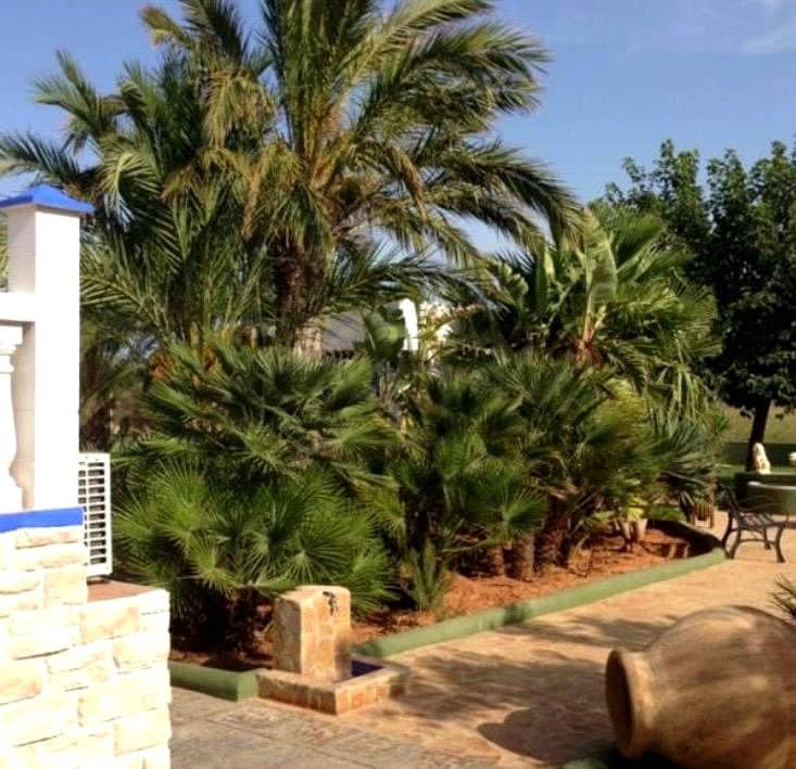 3 chambre Villa/Maison à vendre à Ibiza ville avec piscine garage - 3 200 000 € (Ref: 9459473)