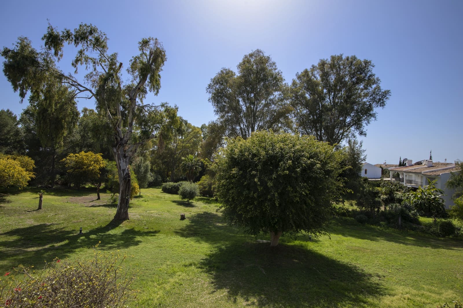 2 camera da letto Casa in vendita in New Golden Mile con piscina garage - 460.000 € (Rif: 9714529)