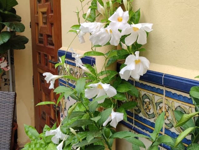 7 sovrum Hus till salu i Sanet i Negrals med pool garage - 369 000 € (Ref: 8933347)