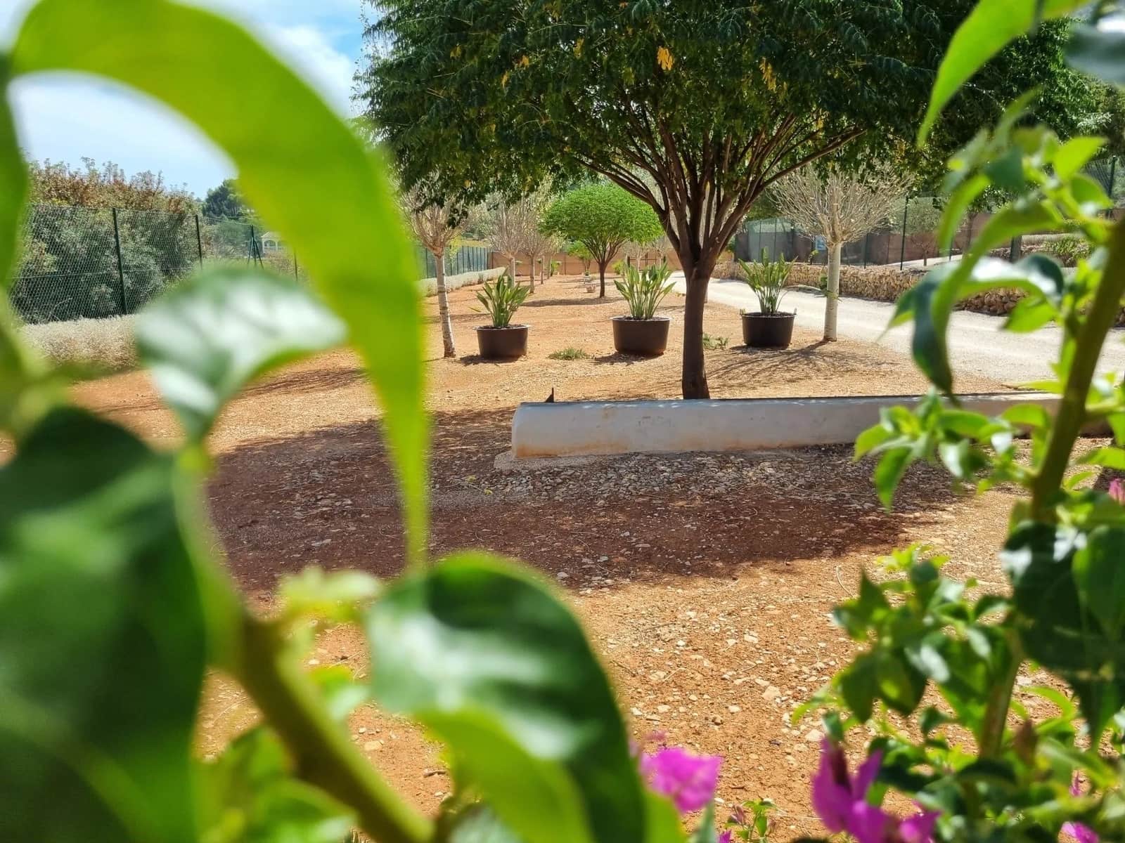 12 camera da letto Affittacamere/B & B in vendita in Jalon / Xalo con piscina - 1.550.000 € (Rif: 8934582)