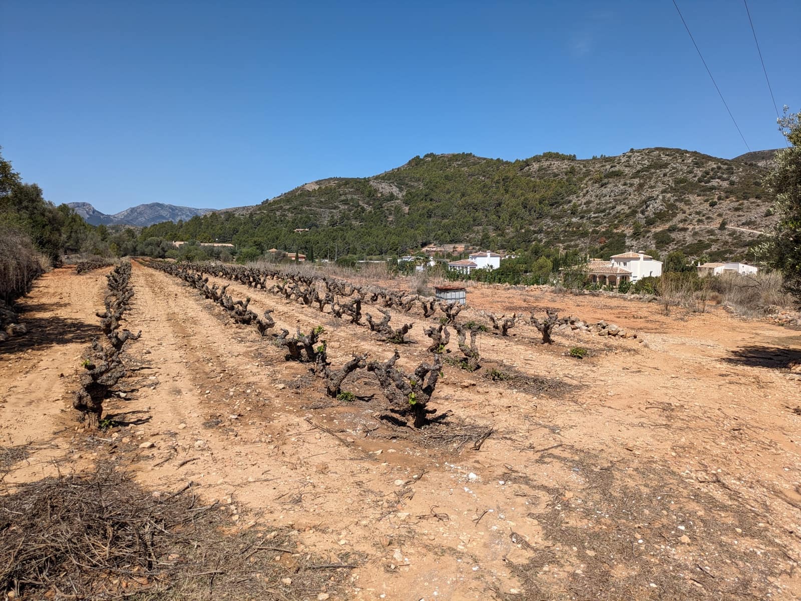 Mark till salu i Lliber - 150 000 € (Ref: 9075946)