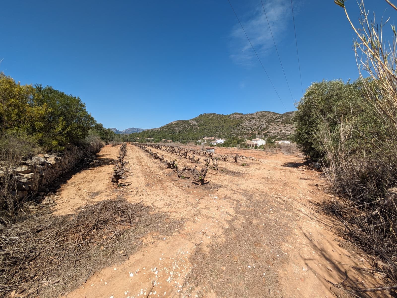 Mark till salu i Lliber - 150 000 € (Ref: 9075946)