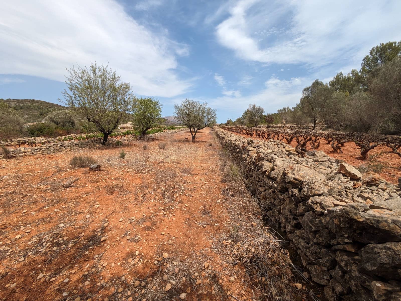Mark till salu i Lliber - 150 000 € (Ref: 9075946)