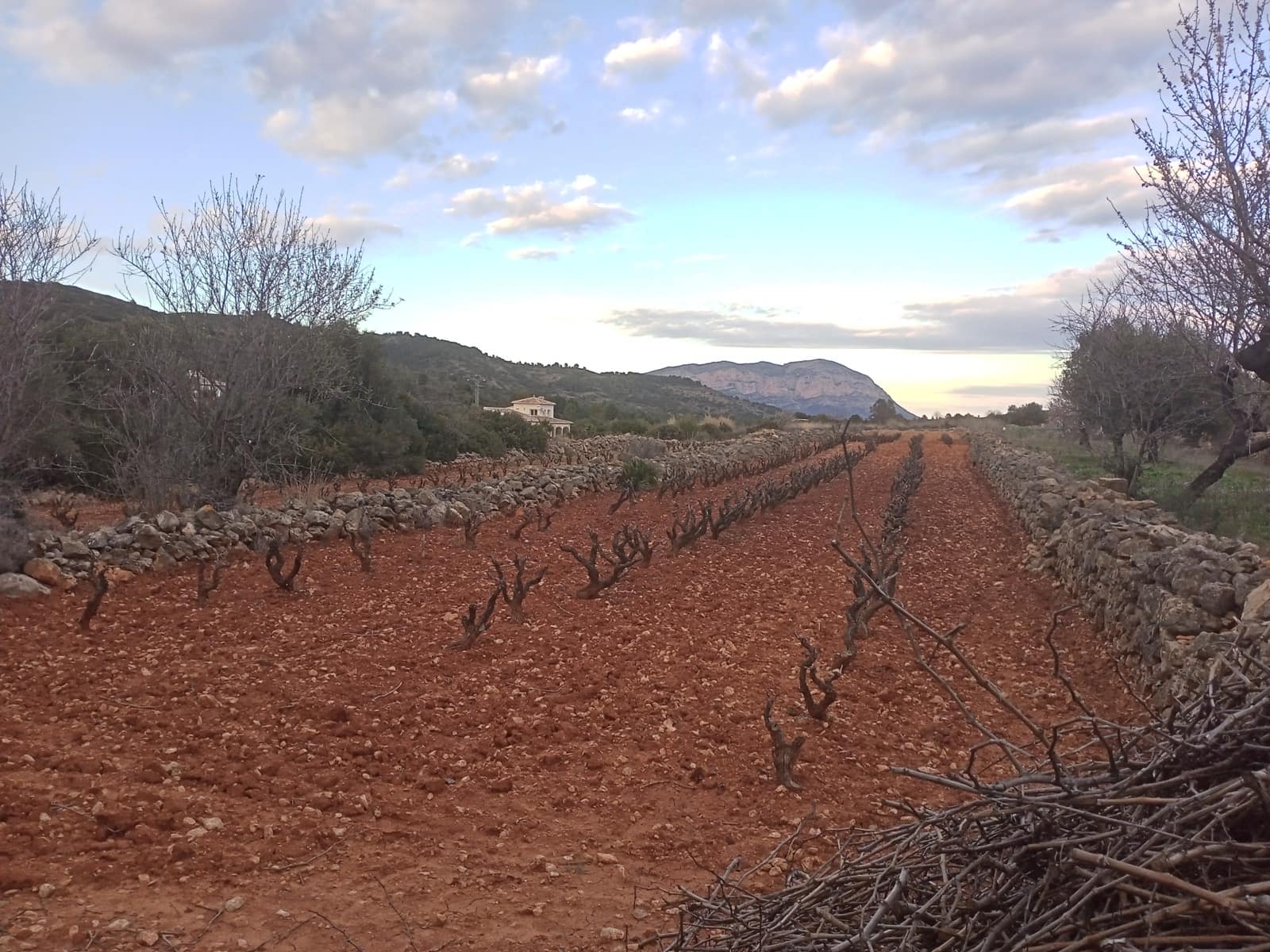Mark till salu i Lliber - 150 000 € (Ref: 9075946)