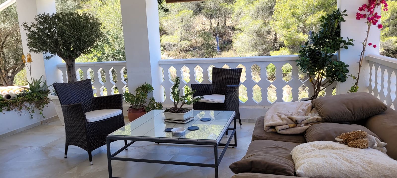 7 bedroom Guesthouse/B & B for sale in Gandia with pool - € 727,500 (Ref: 9143401)
