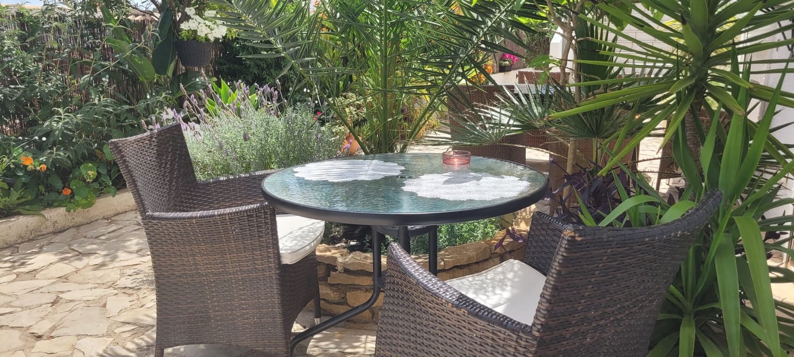 7 bedroom Guesthouse/B & B for sale in Gandia with pool - € 727,500 (Ref: 9143401)