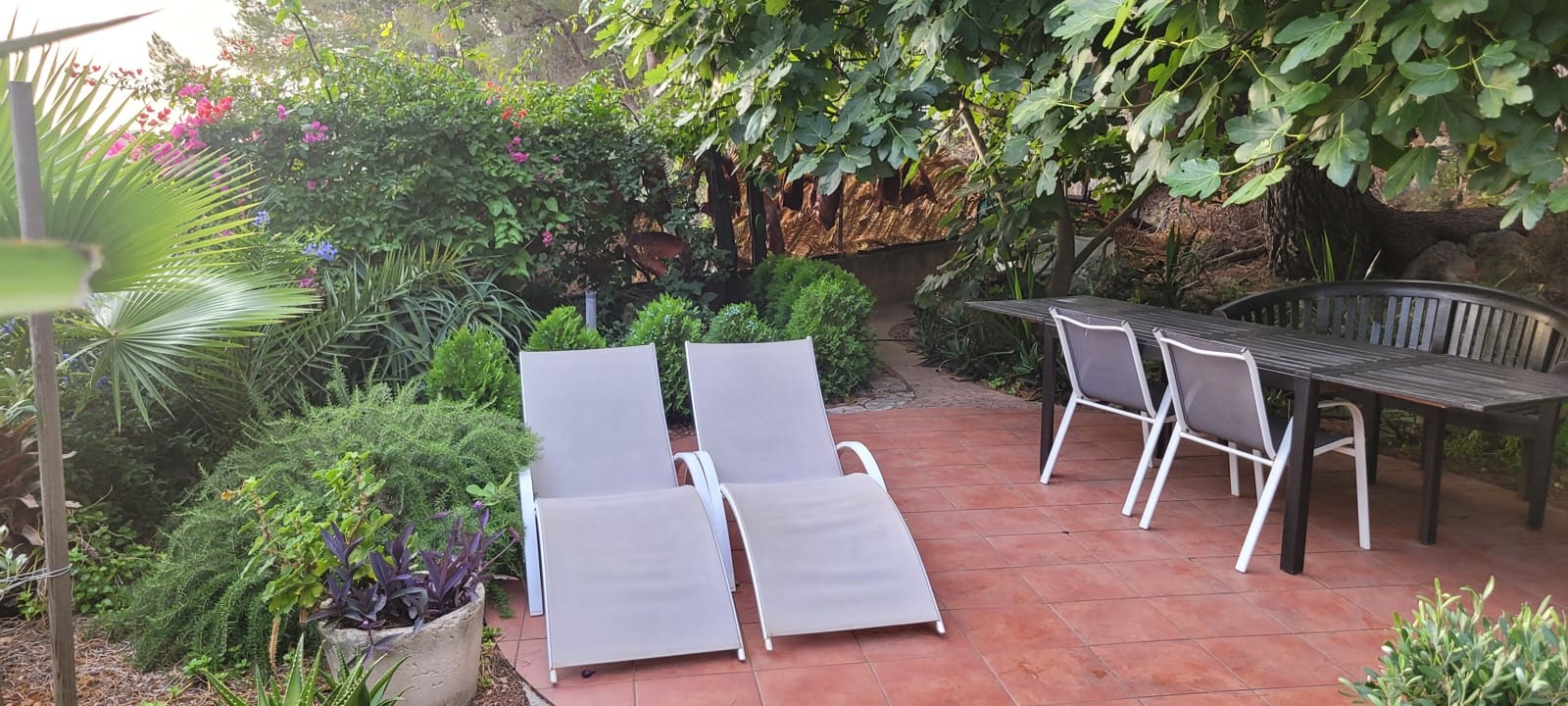 7 bedroom Guesthouse/B & B for sale in Gandia with pool - € 727,500 (Ref: 9143401)