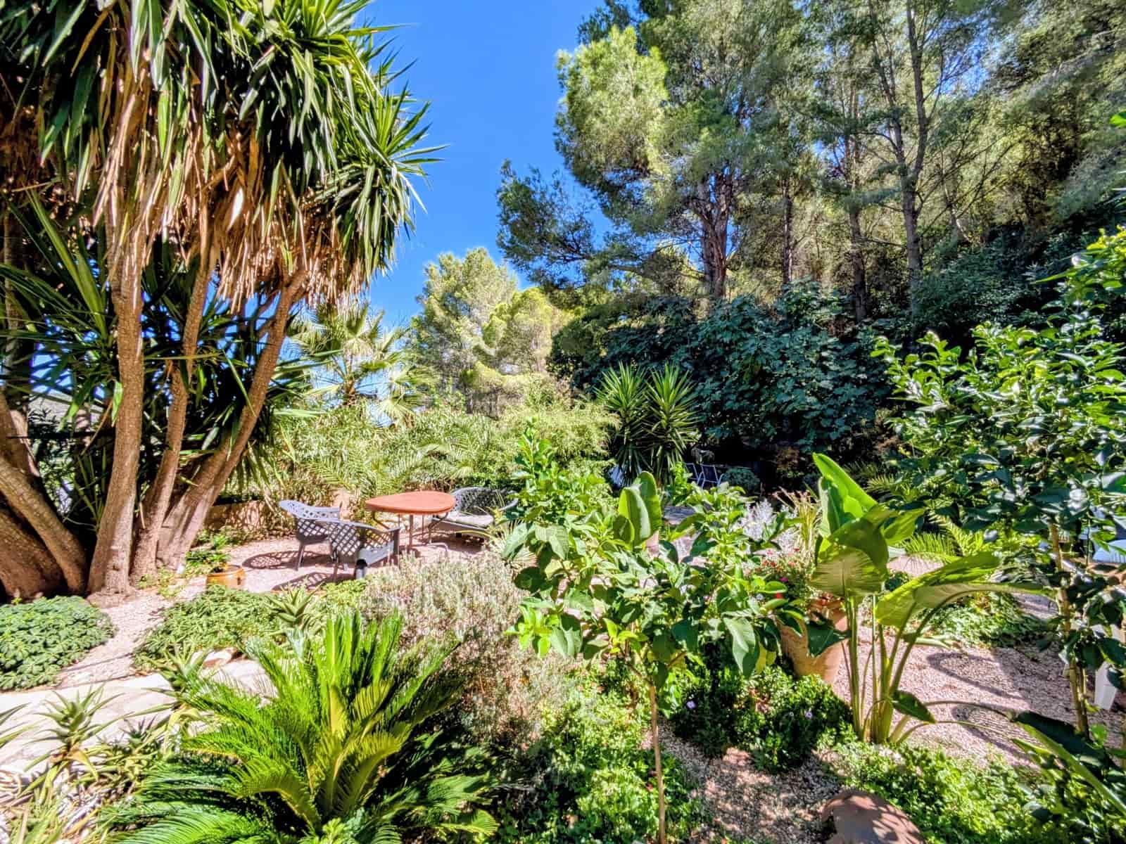 7 soveværelse Finca/Landehus til salg i Gandia med swimmingpool garage - € 727.500 (Ref: 9265146)