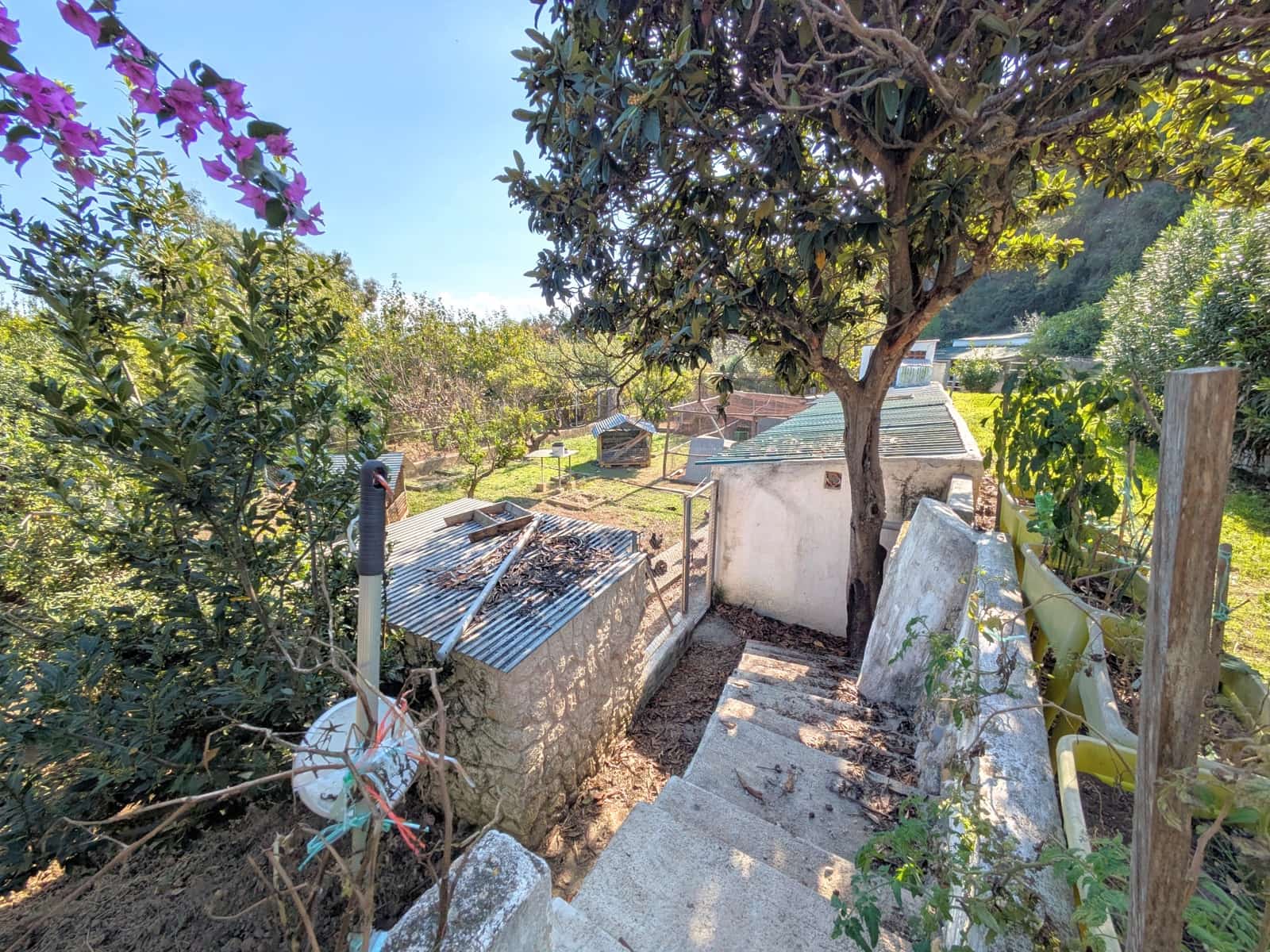 22 soverom Finca/Herregård til salgs i Oliva med svømmebasseng garasje - € 900 000 (Ref: 9393763)