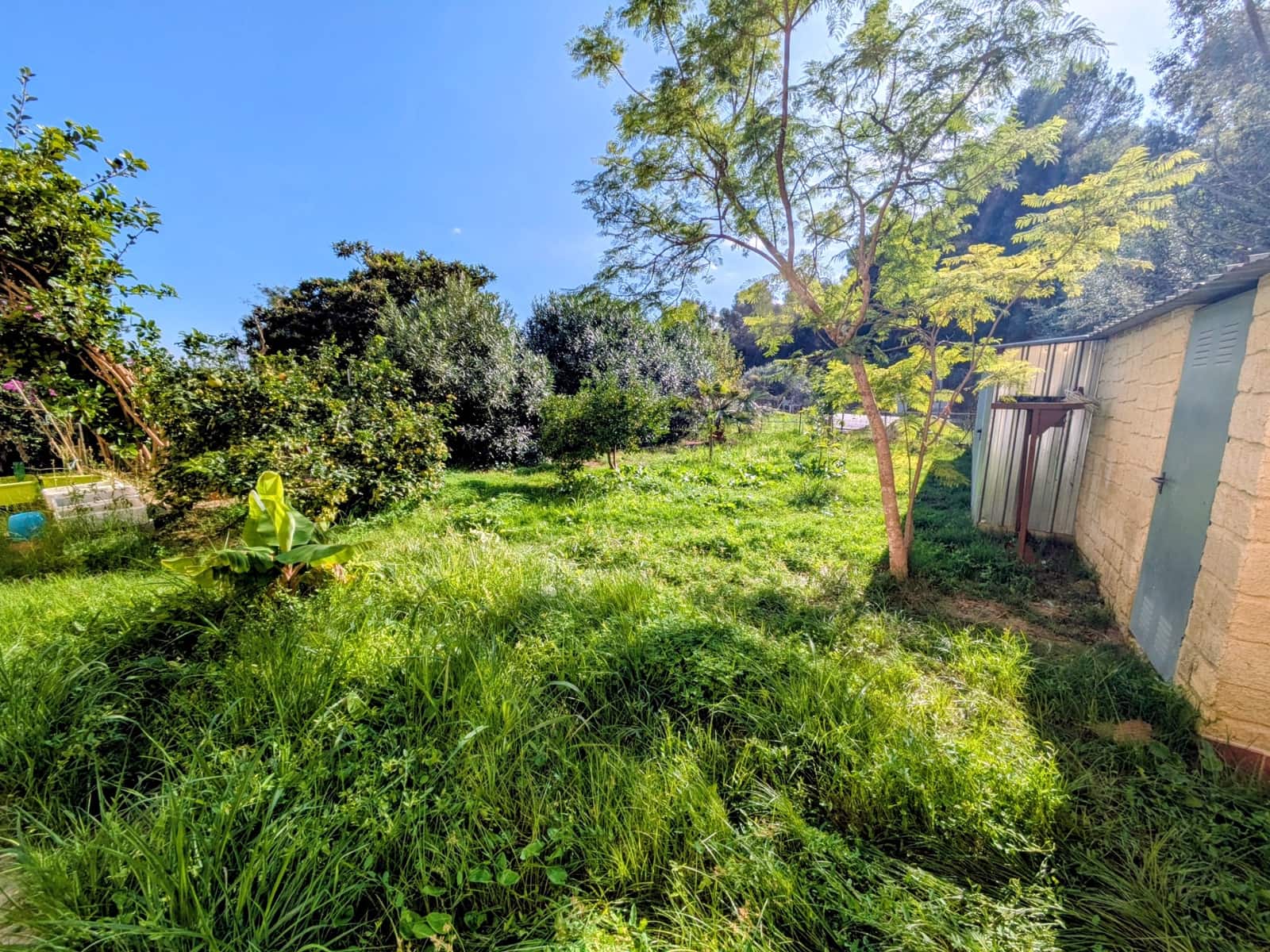 22 soverom Finca/Herregård til salgs i Oliva med svømmebasseng garasje - € 900 000 (Ref: 9393763)