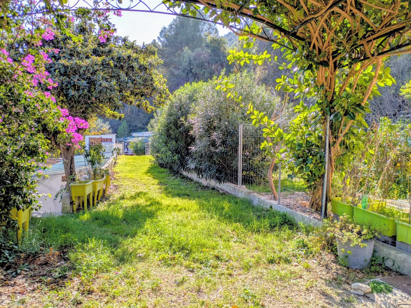 22 soverom Finca/Herregård til salgs i Oliva med svømmebasseng garasje - € 900 000 (Ref: 9393763)