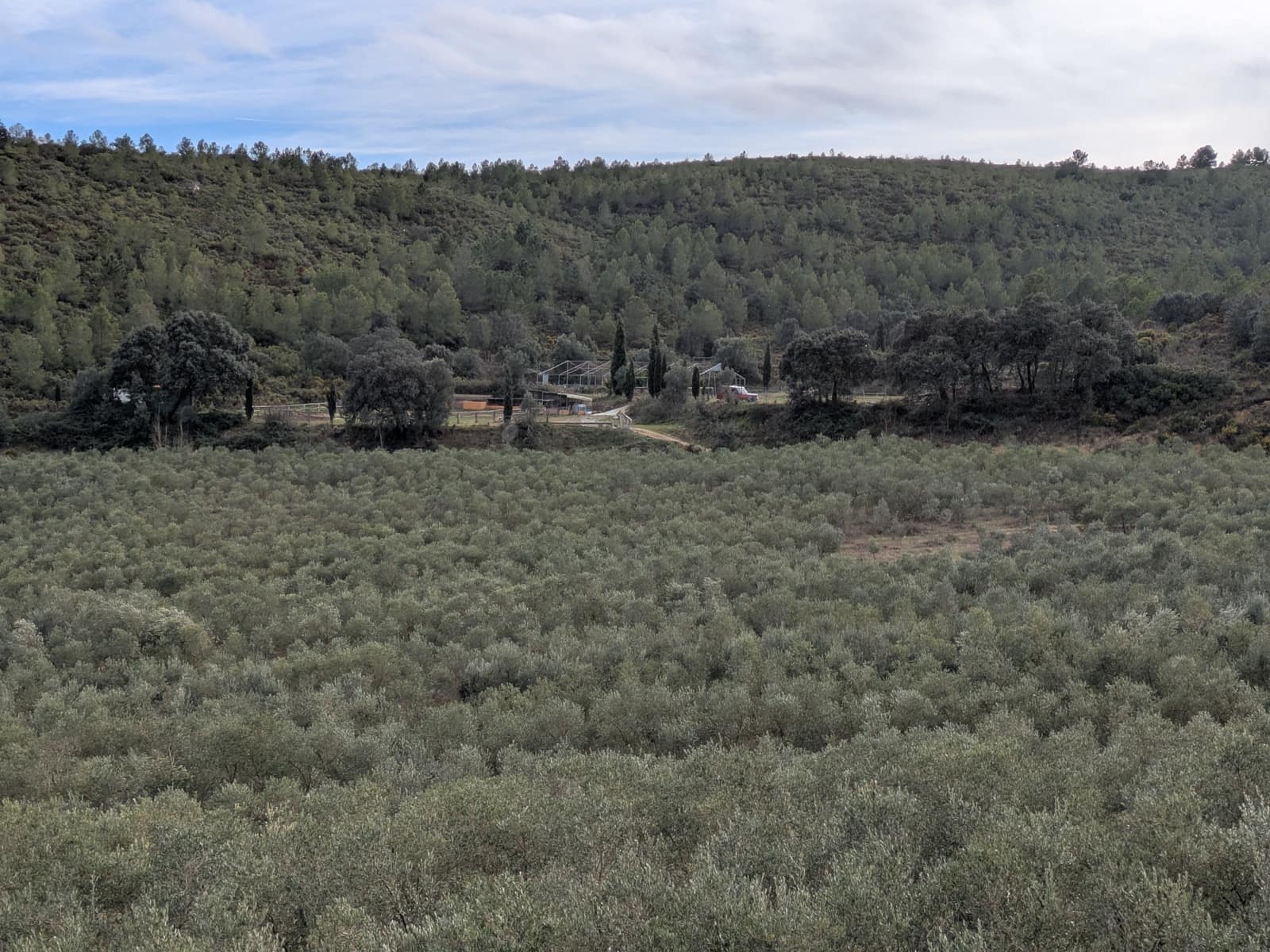 6 sovrum Gästhus/B & B till salu i Moixent med pool garage - 1 300 000 € (Ref: 9578244)