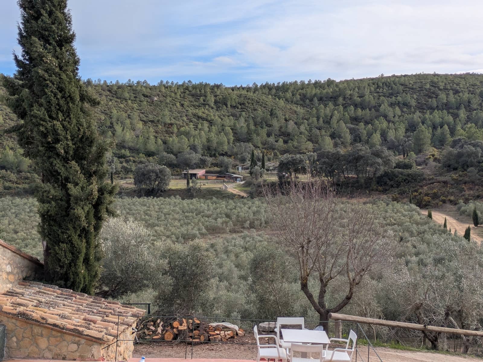 6 sovrum Gästhus/B & B till salu i Moixent med pool garage - 1 300 000 € (Ref: 9578244)