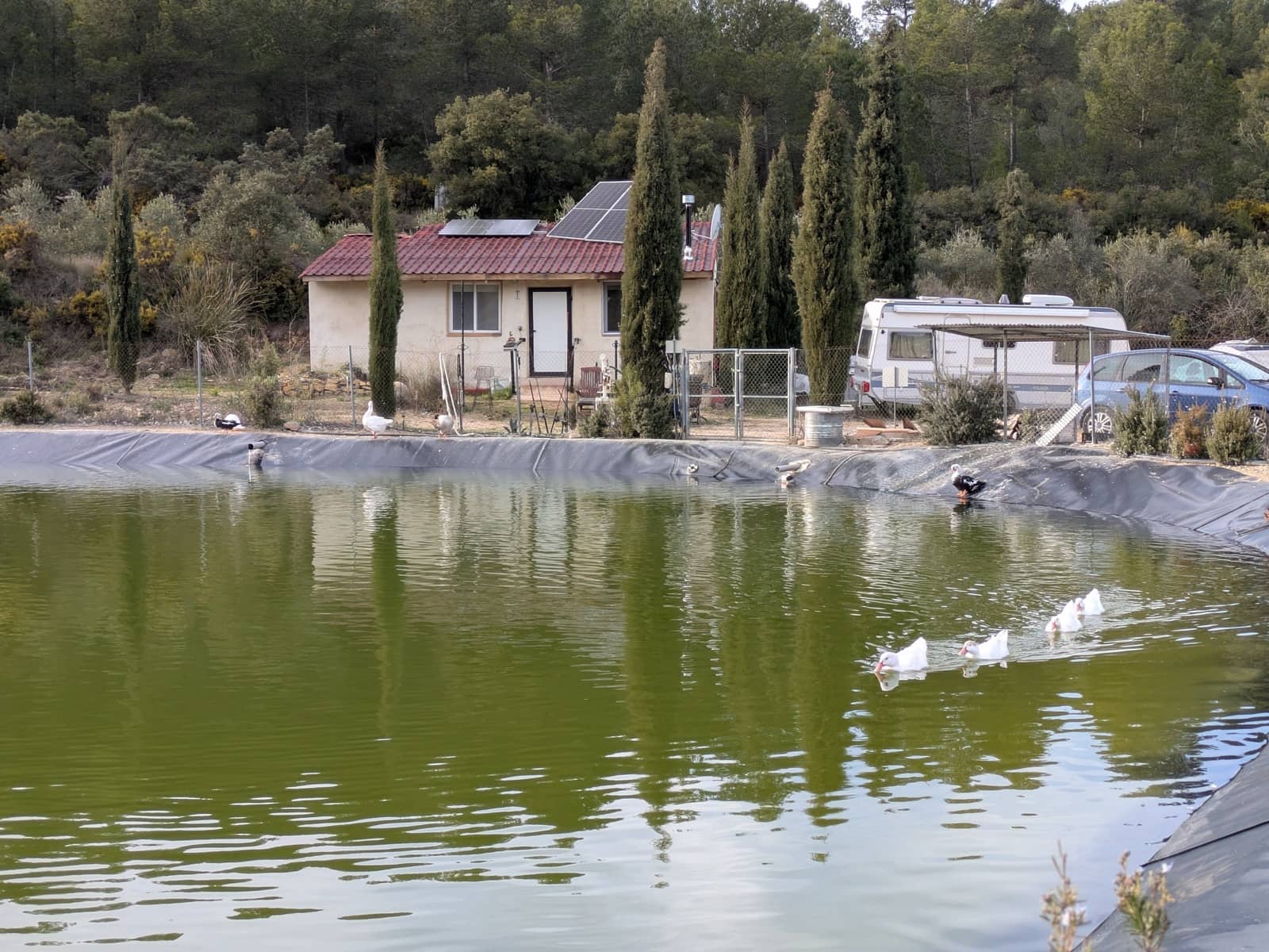 6 sovrum Gästhus/B & B till salu i Moixent med pool garage - 1 300 000 € (Ref: 9578244)