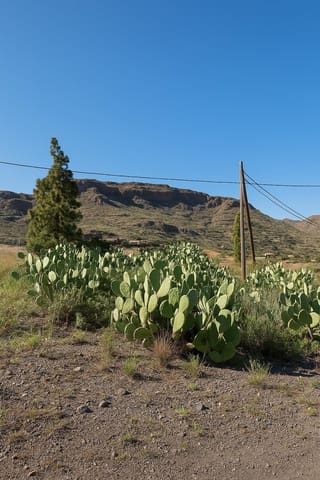 3 soveværelse Semi-Rækkehus til salg i Cercados de Araña, San Bartolomé de Tirajana - € 149.000 (Ref: 9134425)