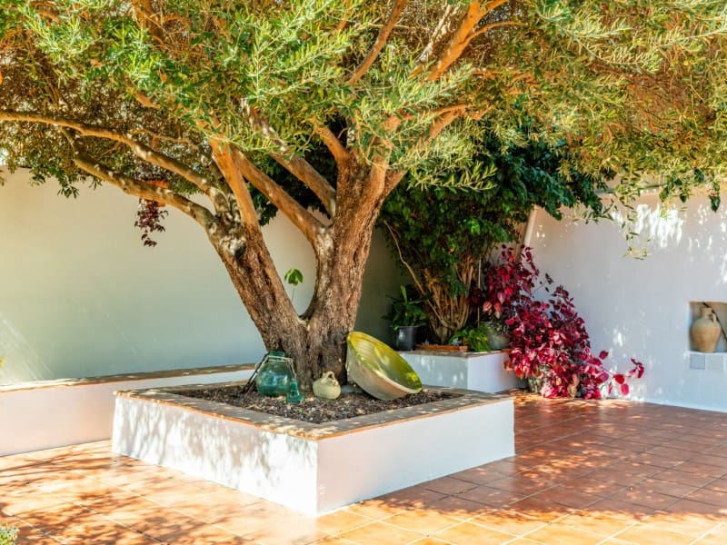 3 makuuhuone Huvila myytävänä paikassa Benissa mukana uima-altaan - 796 000 € (Ref: 9406448)