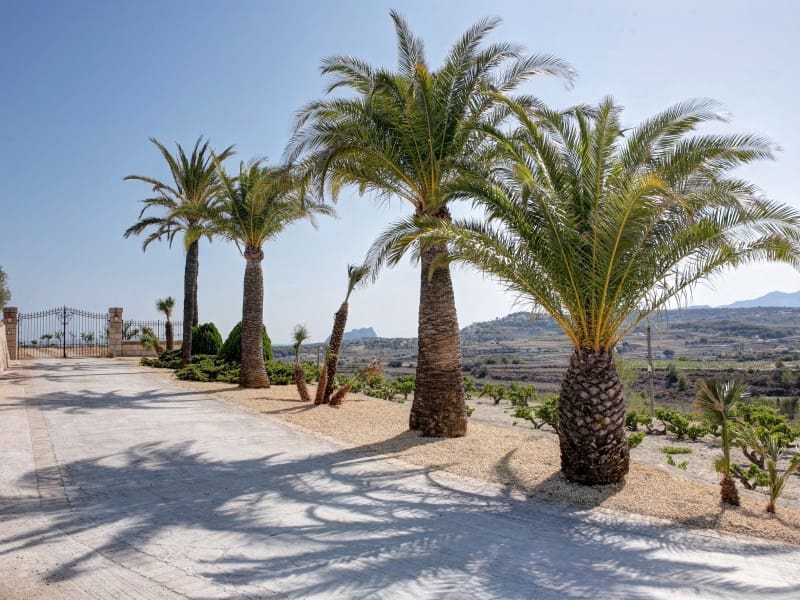 4 slaapkamer Finca/Landhuis te koop in Teulada met zwembad - € 4.200.000 (Ref: 9450656)