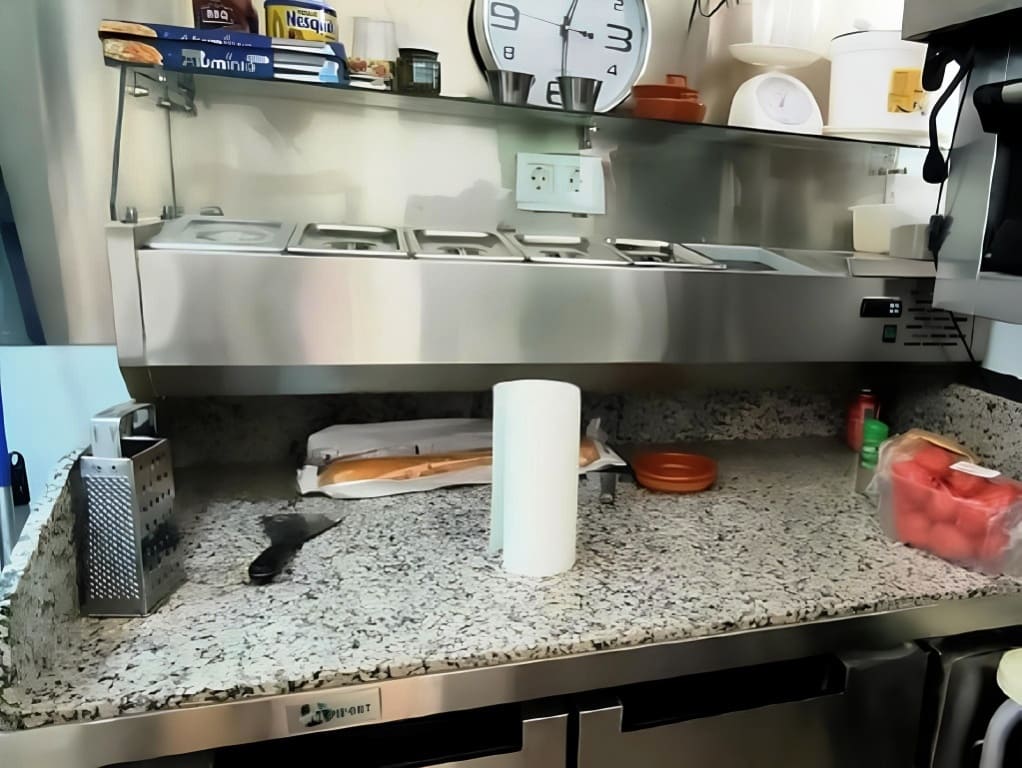 Restaurante/Bar para venda em Arroyo de la Miel - 17 950 € (Ref: 9723618)