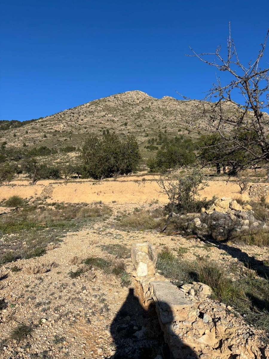 1 bedroom Finca/Country House for sale in Relleu - € 472,500 (Ref: 9591257)