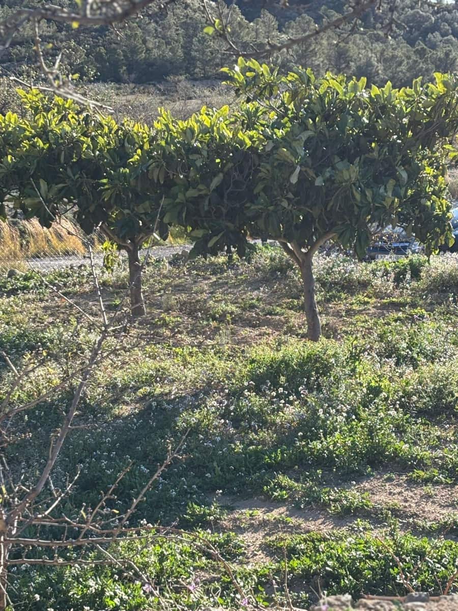 1 bedroom Finca/Country House for sale in Relleu - € 472,500 (Ref: 9591257)