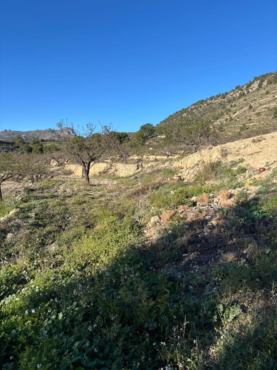 1 bedroom Finca/Country House for sale in Relleu - € 472,500 (Ref: 9591257)