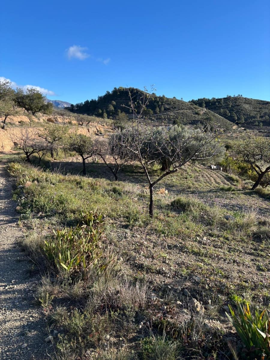 1 bedroom Finca/Country House for sale in Relleu - € 472,500 (Ref: 9591257)