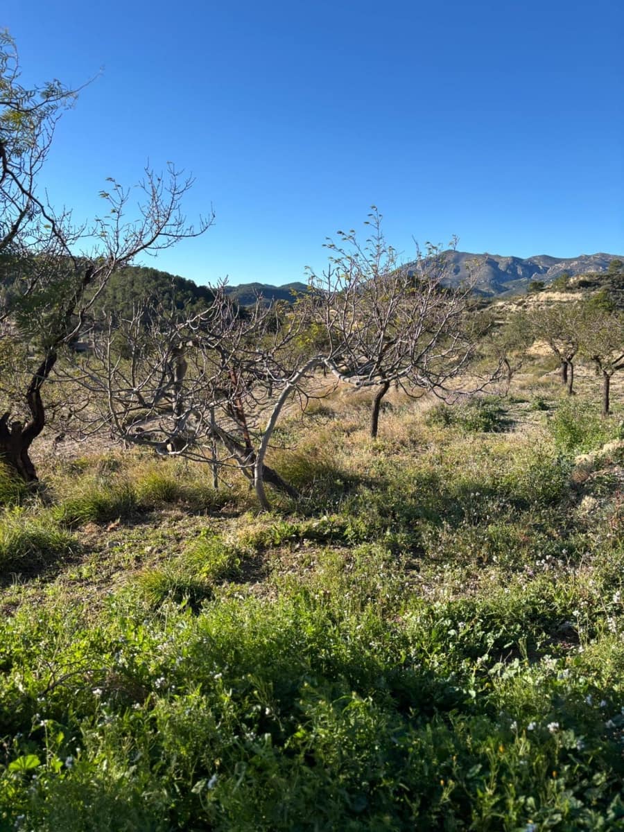 1 bedroom Finca/Country House for sale in Relleu - € 472,500 (Ref: 9591257)