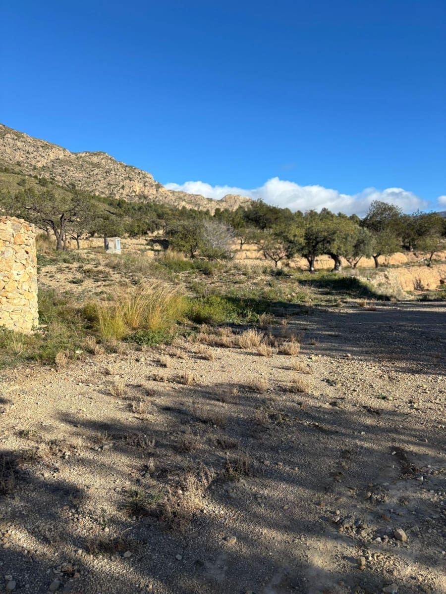 1 bedroom Finca/Country House for sale in Relleu - € 472,500 (Ref: 9591257)