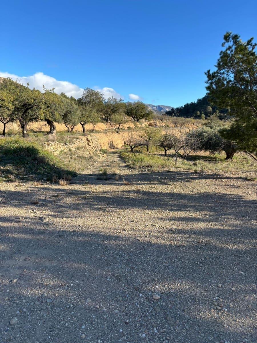 1 bedroom Finca/Country House for sale in Relleu - € 472,500 (Ref: 9591257)