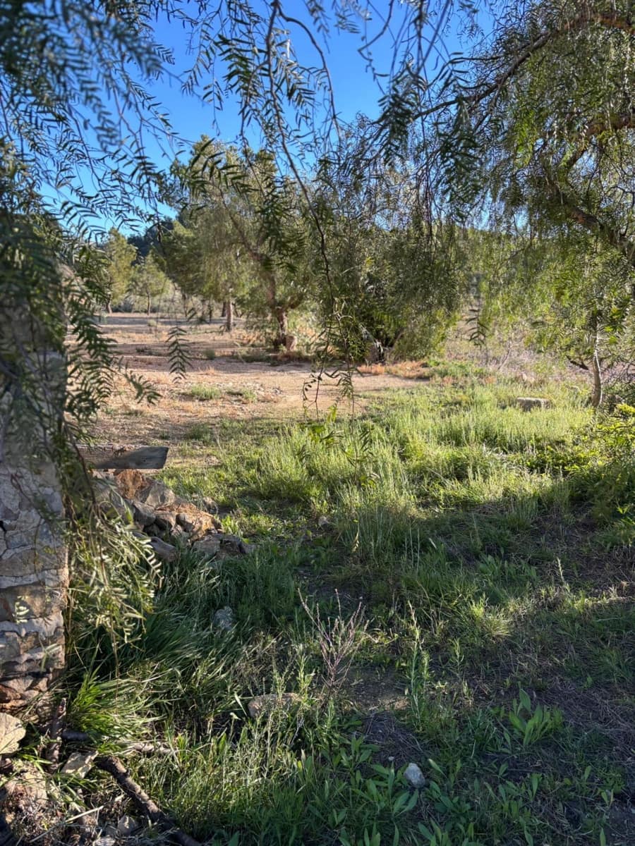 1 bedroom Finca/Country House for sale in Relleu - € 472,500 (Ref: 9591257)