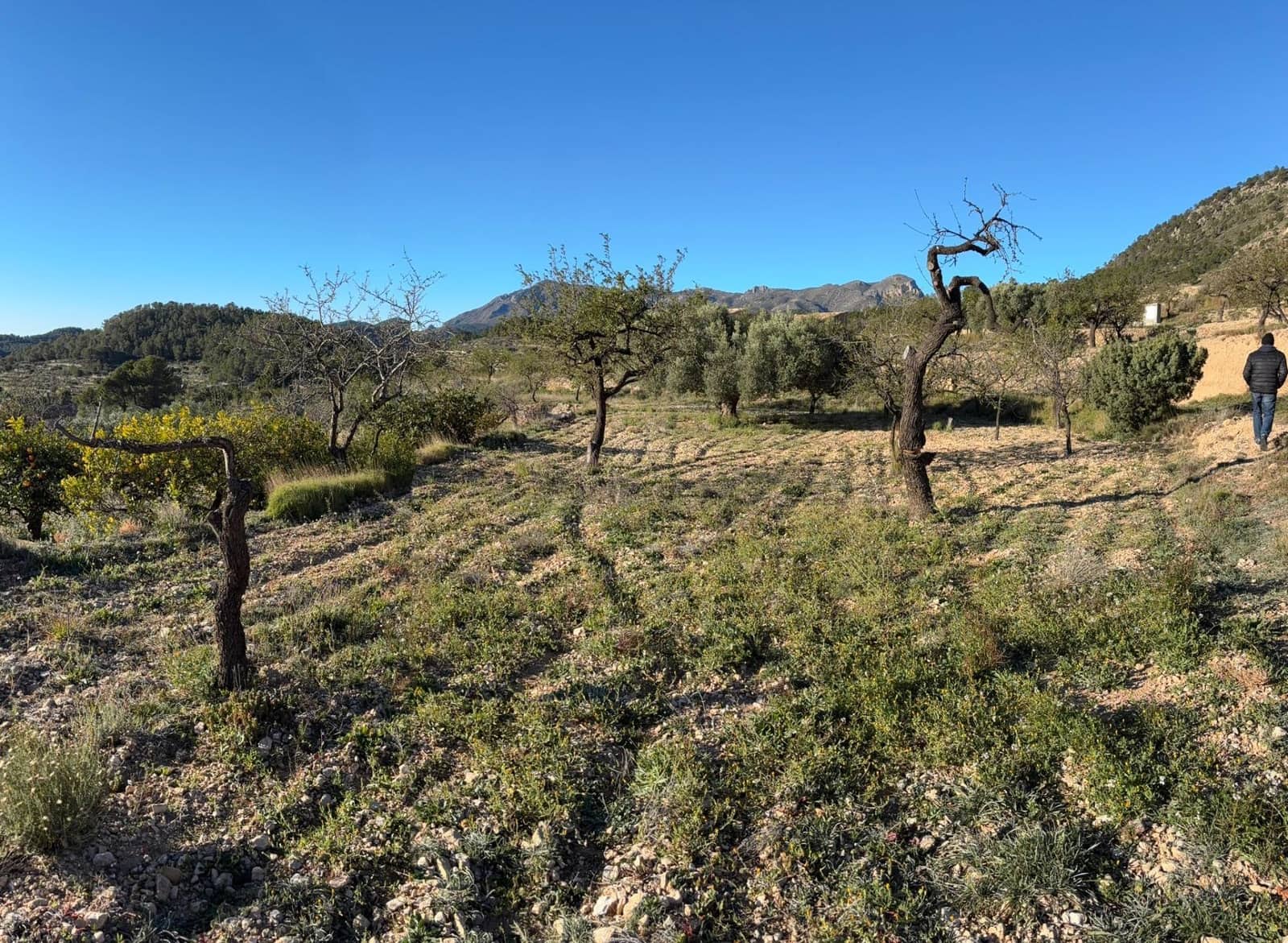 1 bedroom Finca/Country House for sale in Relleu - € 472,500 (Ref: 9591257)