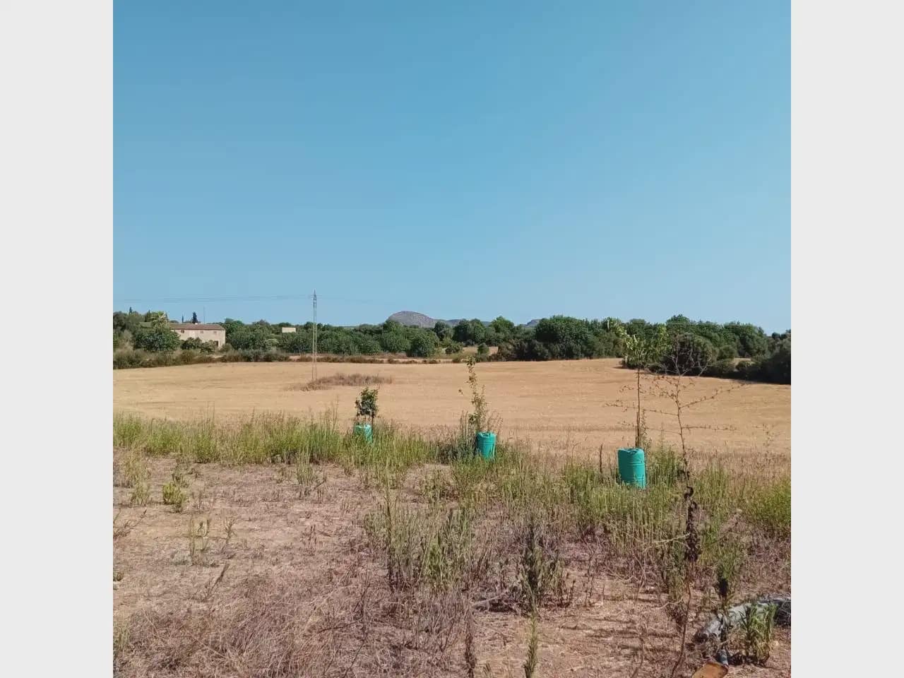 Tomt till salu i Manacor - 175 000 € (Ref: 10140190)