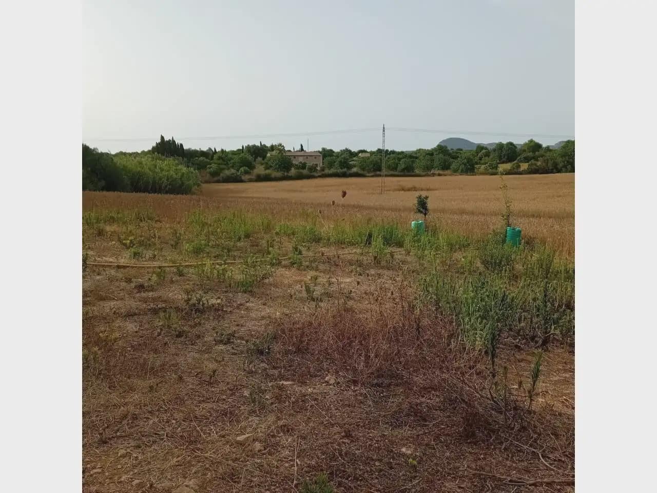 Tomt till salu i Manacor - 175 000 € (Ref: 10140190)