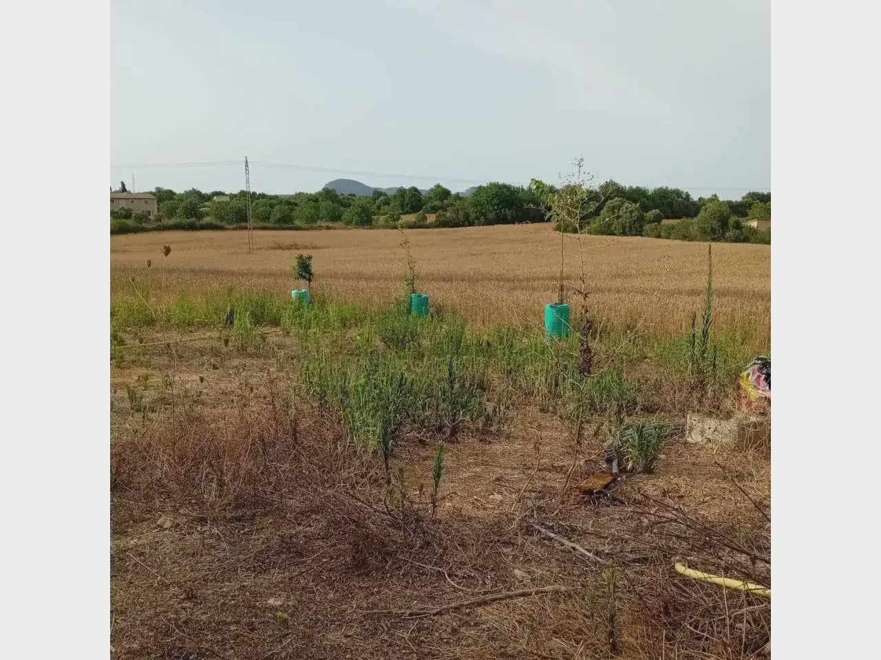 Tomt till salu i Manacor - 175 000 € (Ref: 10140190)