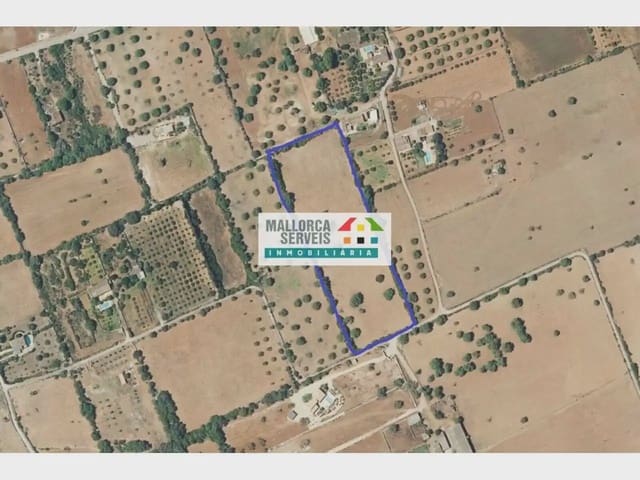 Bouwgrond te koop in Manacor - € 280.000 (Ref: 9963424)
