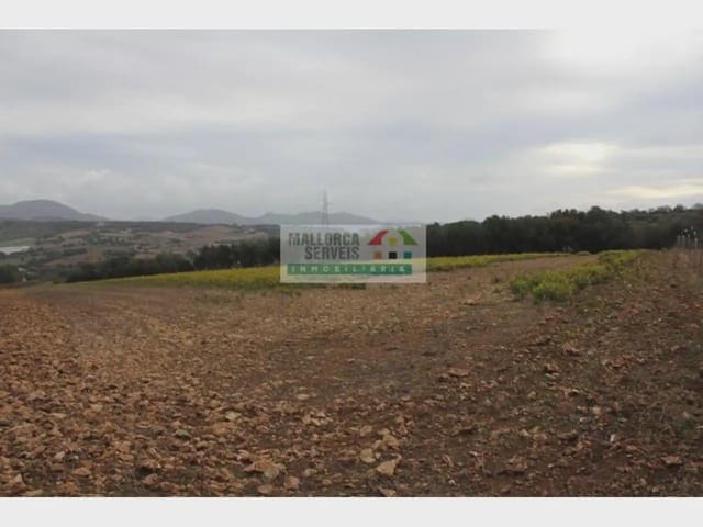 Bouwgrond te koop in Manacor - € 185.000 (Ref: 9963426)