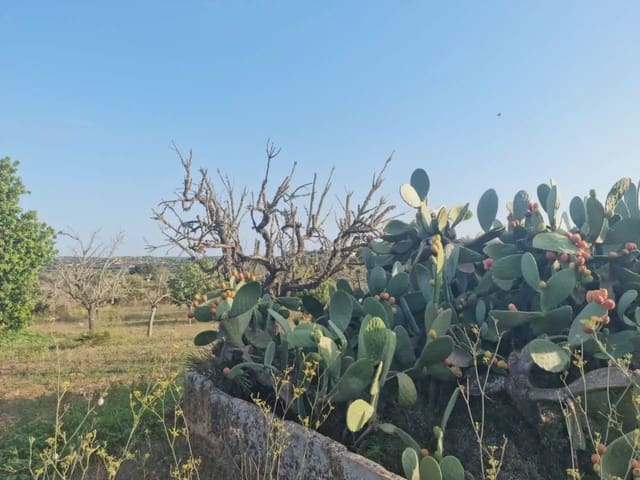 Finca/Maison de Campagne à vendre à Sant Llorenç des Cardassar - 450 000 € (Ref: 9963427)