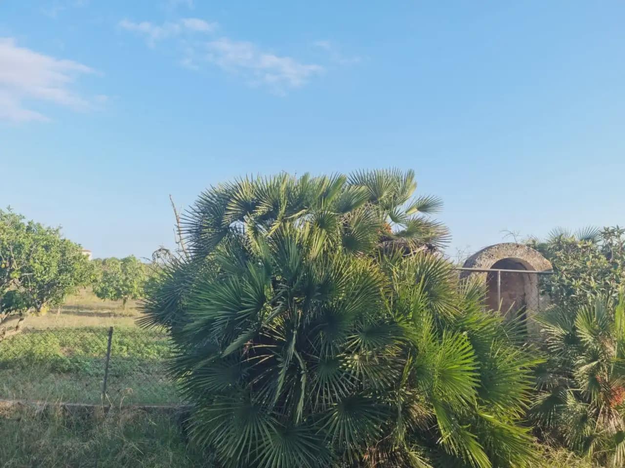 Finca/Maison de Campagne à vendre à Sant Llorenc des Cardassar - 450 000 € (Ref: 9963427)