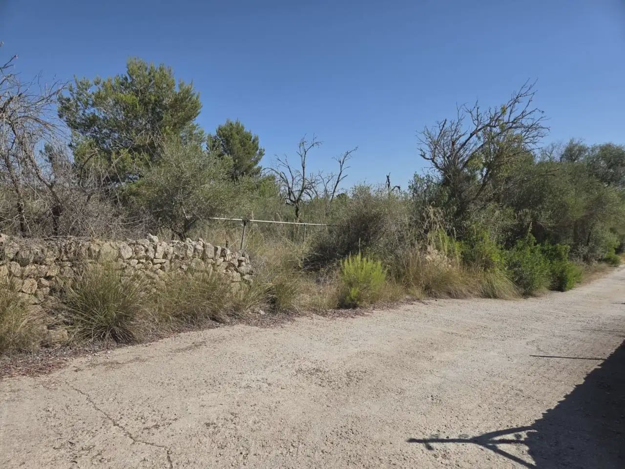Terreno Non Edificato in vendita in Manacor - 265.000 € (Rif: 9963443)