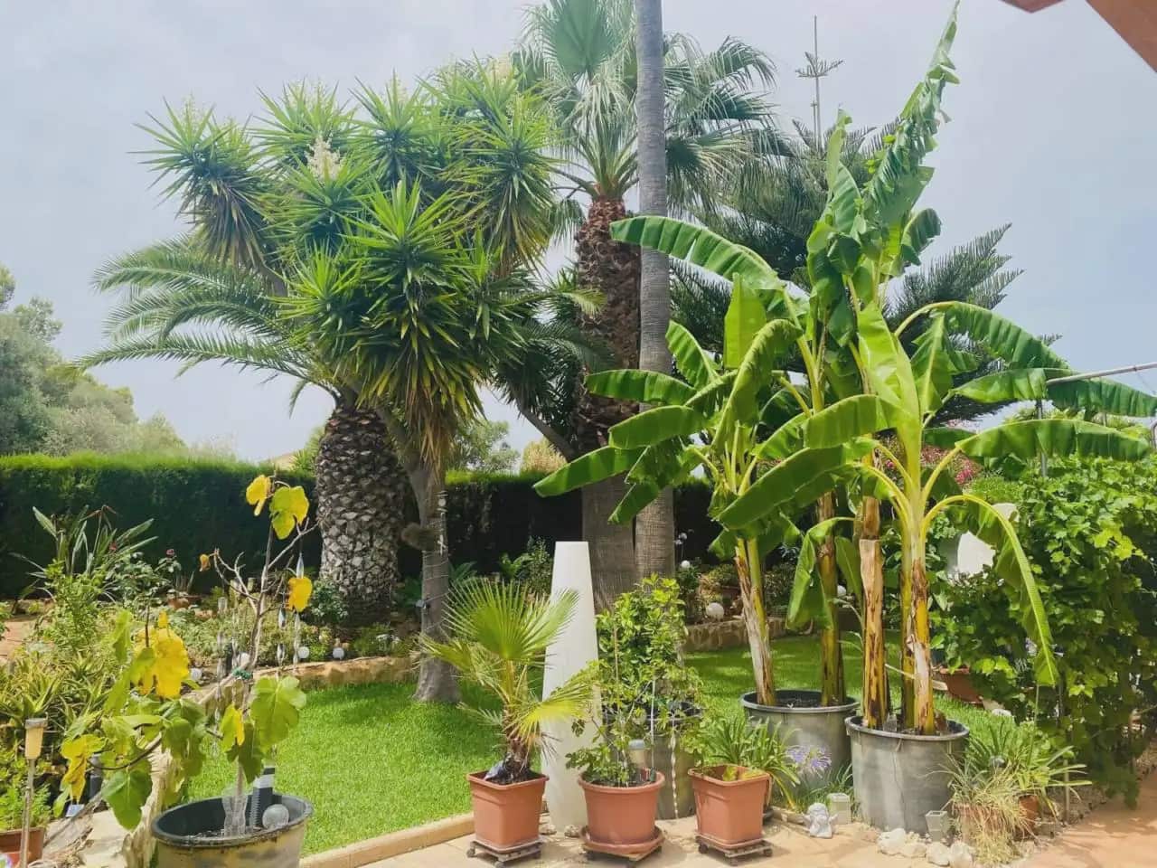 3 chambre Appartement à vendre à Sant Llorenc des Cardassar avec piscine garage - 590 000 € (Ref: 9964315)