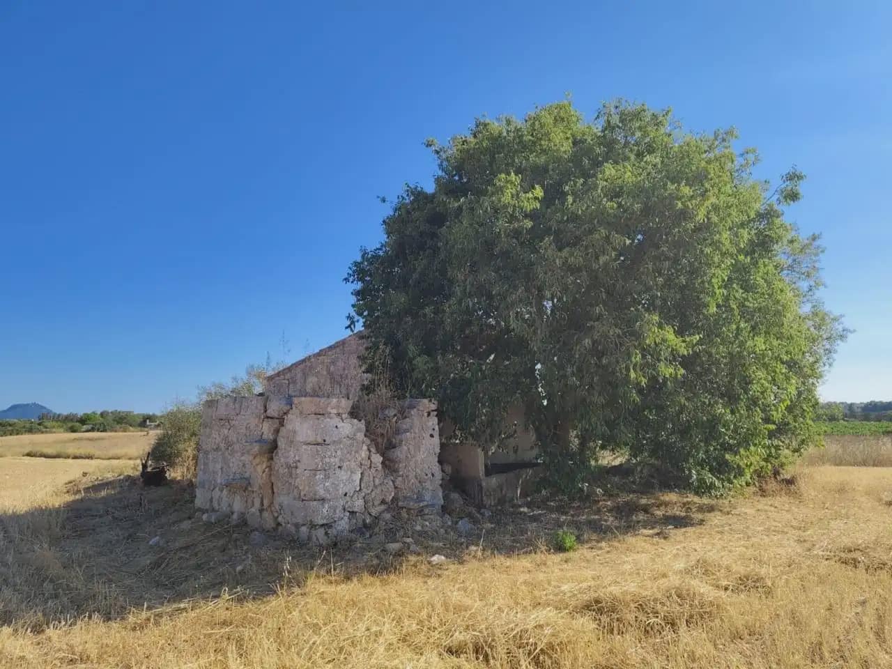 Finca/Landhuis te koop in Manacor - € 59.900 (Ref: 9969024)