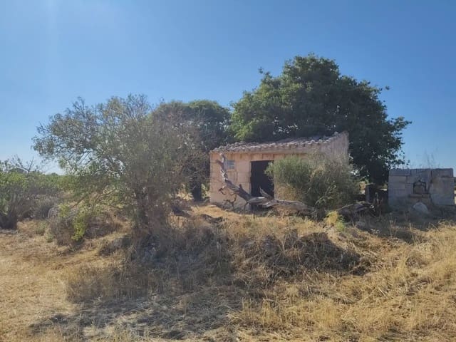 Finca/Landehus til salg i Manacor - € 59.900 (Ref: 9969024)