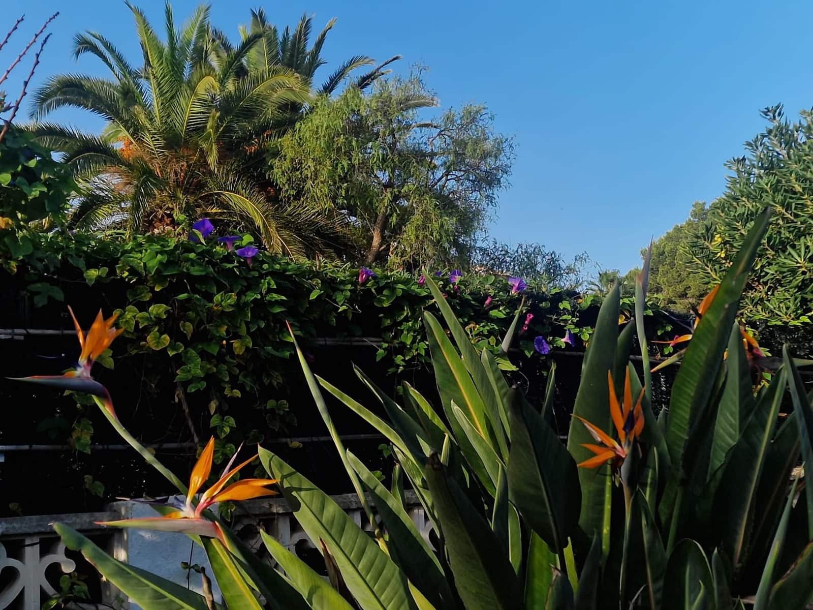 3 camera da letto Villa in vendita in Javea / Xabia con piscina garage - 693.000 € (Rif: 9876920)