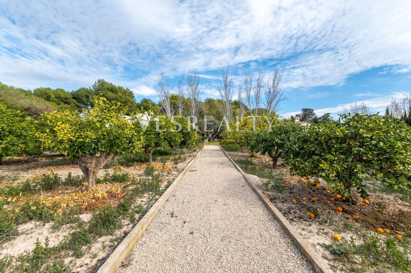 5 bedroom Villa for sale in Alicante / Alacant city with pool garage - € 1,550,000 (Ref: 8944833)