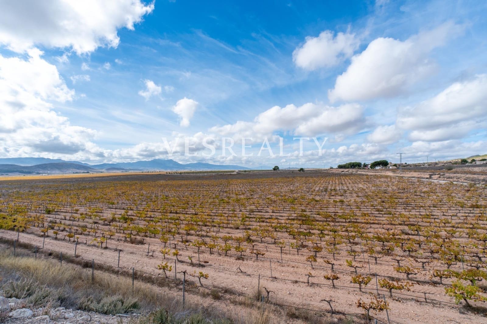 Finca/Country House for sale in Jumilla - € 4,950,000 (Ref: 9382761)
