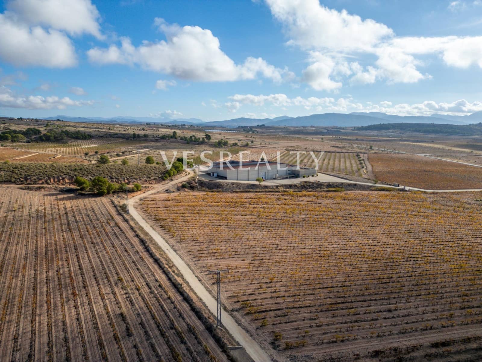 Finca/Country House for sale in Jumilla - € 4,950,000 (Ref: 9382761)