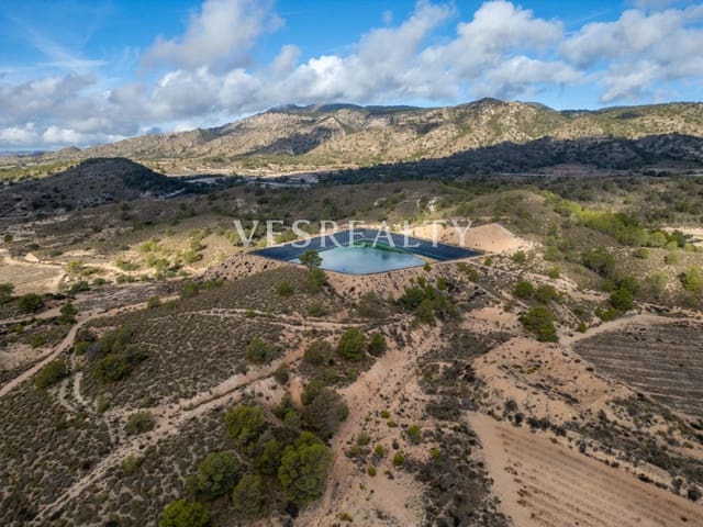 Finca/Landehus til salg i Jumilla - € 4.950.000 (Ref: 9382761)