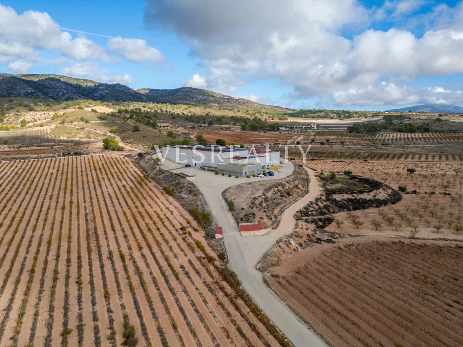 Finca/Country House for sale in Jumilla - € 4,950,000 (Ref: 9382761)